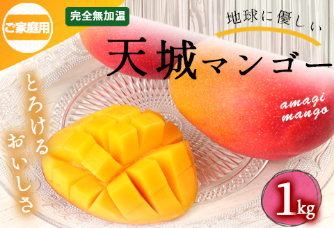 【2026年発送】【先行受付】徳之島 天城町産 完全無加温 完熟 マンゴー 家庭用 1kg