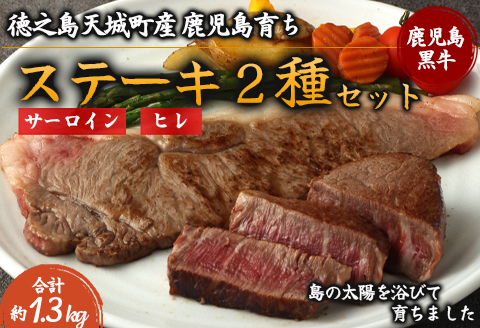 徳之島 天城町産 鹿児島育ち 鹿児島黒毛和牛 ステーキ 2種セット 合計約1.3kg サーロイン 720g 180g×4枚 ヒレ 600g 150g×4枚