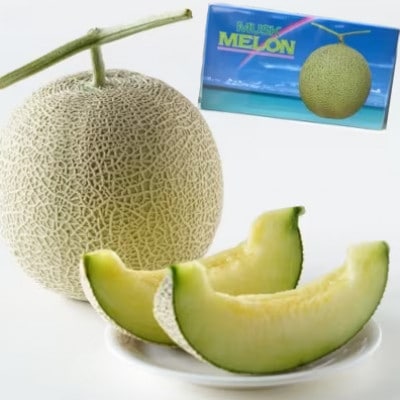 【2025年12月より順次発送】吉川果樹園 徳之島 メロン L2玉 (専用箱入り)