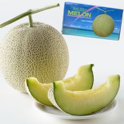 【2025年12月より順次発送】吉川果樹園 徳之島 メロン LL2玉 (専用箱入り)