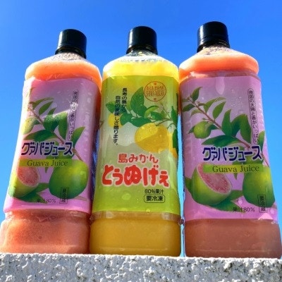 グァバ＆島みかんジュース　3本セット【配送不可地域：離島】