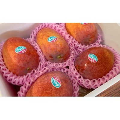 【2026年7月中旬より順次発送】完熟マンゴー約2kg(4～6個:化粧箱入り)、贈答用(A級品)【配送不可地域：離島】