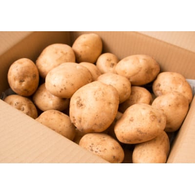 「春一番」ばれいしょ　10kg