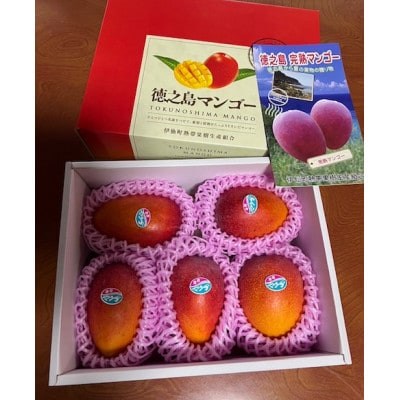 先行予約!2026年7月発送 徳之島 伊仙町 盛農園より徳之島マンゴー 約2kgをお届け!【化粧箱】【配送不可地域：離島】
