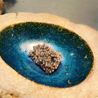 【神戸 薪焼き スペイン料理】 bb9 伊仙町 ディナーペア食事券 ワインペアリング付き