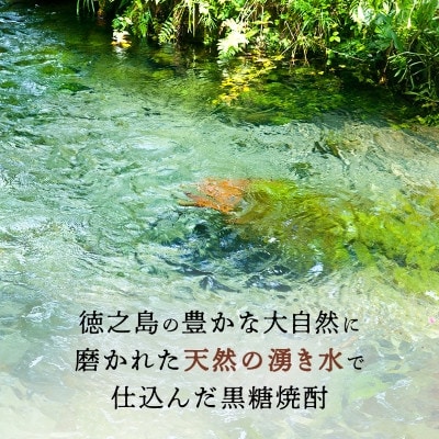 【毎月定期便】奄美黒糖焼酎 島のナポレオン 900ml 紙パック 12本セット全12回