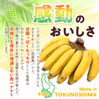 貞さんの島バナナ約3kg