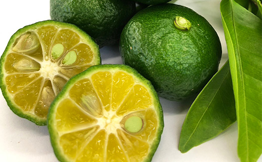 徳之島産 豚メンチカツ 島唐辛子 ヤマ・シークニン 10個入り×2袋 【絆ファーム】【配送不可地域：離島】