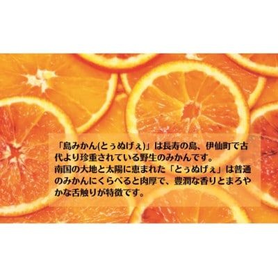 島みかんとぅぬげぇジュース　3本セット【配送不可地域：離島】