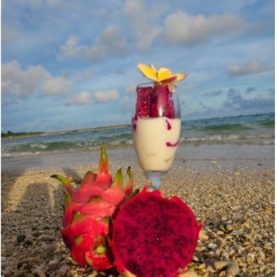 ドラゴンフルーツ(徳之島宝赤)【配送不可地域：離島】