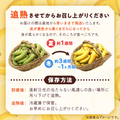 貞さんの島バナナ約3kg