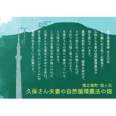 徳之島ジンジャーエール　200ml×6本