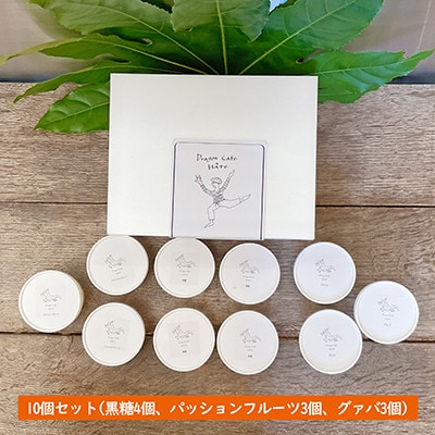 徳之島ワクワクジェラート　ティダ(太陽)のおくりもの　10個セット【配送不可地域：離島】