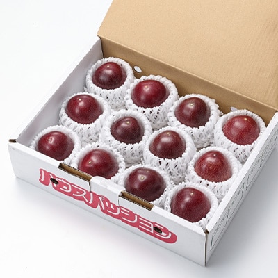 【2026年6月より順次発送】カツジファームのパッションフルーツ箱入り2kg(1kg箱×2)