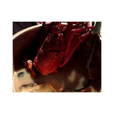 富山さん家の「伊勢海老」約2kg【配送不可地域：離島】