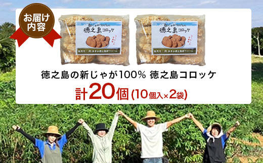 【先行予約! 2026年5月上旬～発送】徳之島 コロッケ 10個入り×2袋 【絆ファーム】【配送不可地域：離島】