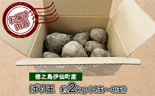 【数量限定】 徳之島 伊仙町産 希少品種 まぁるい山芋 ぱり玉 約2kg(4玉～8玉)【福山宣太】