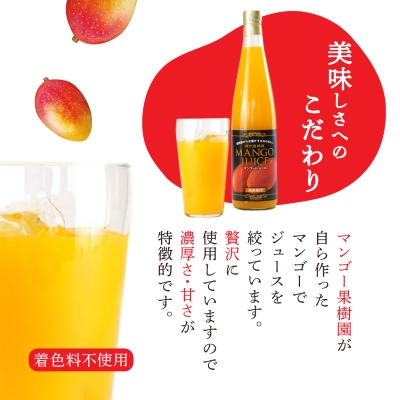 マンゴージュース3本セット