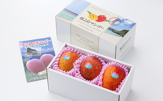 【先行予約!2026年7月より順次発送】 清水果樹園 マンゴー 約2kg(化粧箱入り)【配送不可地域：離島】