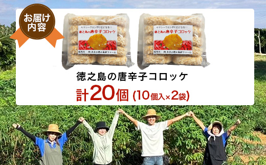 【先行予約! 2026年5月上旬～発送】徳之島 唐辛子コロッケ 10個入り×2袋 【絆ファーム】【配送不可地域：離島】