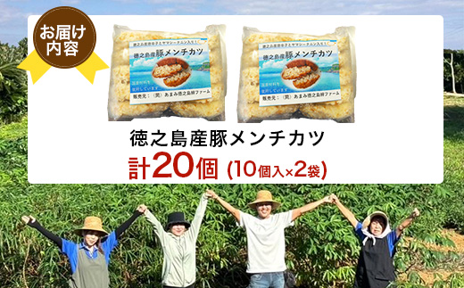 徳之島産 豚メンチカツ 島唐辛子 ヤマ・シークニン 10個入り×2袋 【絆ファーム】【配送不可地域：離島】