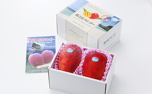 【先行予約!2026年7月より順次発送】 清水果樹園 マンゴー 約1kg(化粧箱入り)【配送不可地域：離島】