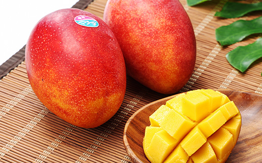 【先行予約!2026年7月より順次発送】 清水果樹園 自宅用 マンゴー 約2kg【配送不可地域：離島】