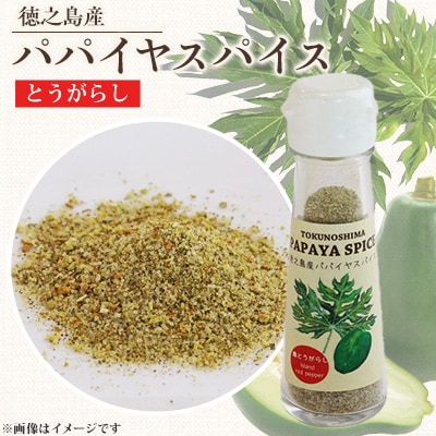 パパイヤスパイス　唐辛子入り1本