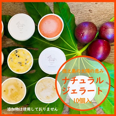 徳之島ワクワクジェラート　ティダ(太陽)のおくりもの　10個セット【配送不可地域：離島】