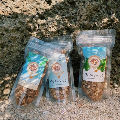 豆腐屋が作る!こだわりはちみつおからグラノーラ【鹿児島県徳之島】100g×3個セット