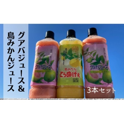 グァバ＆島みかんジュース　3本セット【配送不可地域：離島】