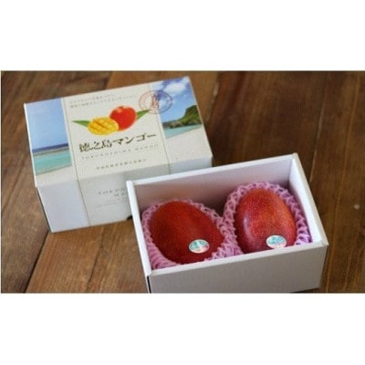 【2026年7月中旬より順次発送】完熟マンゴー約1kg(2～3個:化粧箱入り)、贈答用(A級品)【配送不可地域：離島】