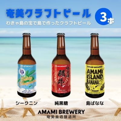奄美クラフトビール 3本入り 地ビール【配送不可地域：離島】