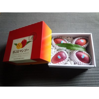 徳之島伊仙マンゴー【配送不可地域：離島】