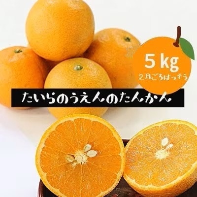 【先行予約! 2026年2月より順次発送】  平農園のたんかん 【化粧箱】約5kg