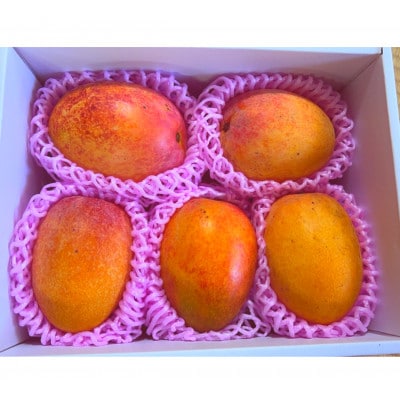 先行予約!2026年7月発送 徳之島 伊仙町 盛農園より徳之島マンゴー 約1kgをお届け!【自宅用】【配送不可地域：離島】