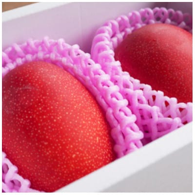 先行予約!2026年7月発送 徳之島 伊仙町 盛農園より徳之島マンゴー 約2kgをお届け!【化粧箱】【配送不可地域：離島】