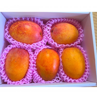 先行予約!2026年7月発送 徳之島 伊仙町 盛農園より徳之島マンゴー 約2kgをお届け!【自宅用】【配送不可地域：離島】