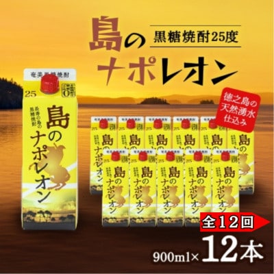 【毎月定期便】奄美黒糖焼酎 島のナポレオン 900ml 紙パック 12本セット全12回