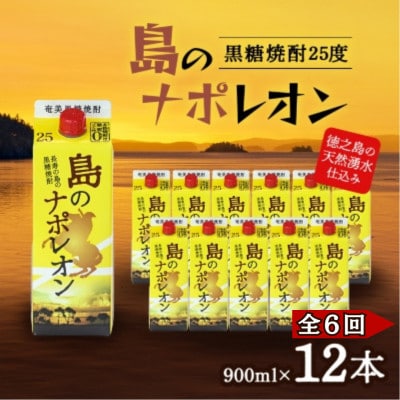 【毎月定期便】奄美黒糖焼酎 島のナポレオン 900ml 紙パック 12本セット全6回