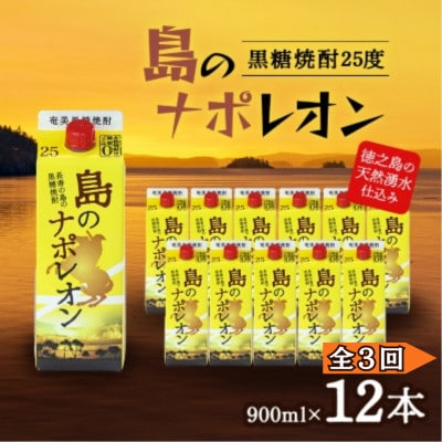 【毎月定期便】奄美黒糖焼酎 島のナポレオン 900ml 紙パック 12本セット全3回