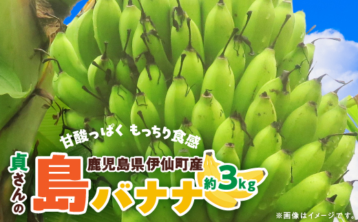 貞さんの島バナナ約3kg
