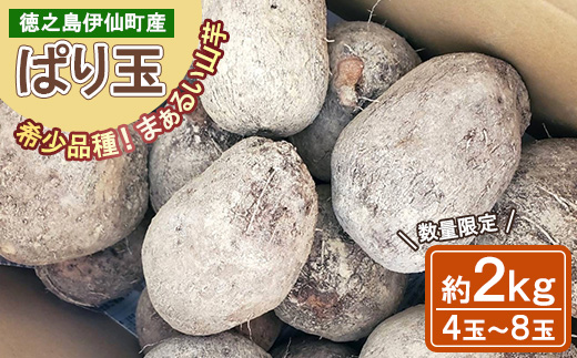 【数量限定】 徳之島 伊仙町産 希少品種 まぁるい山芋 ぱり玉 約2kg(4玉～8玉)【福山宣太】