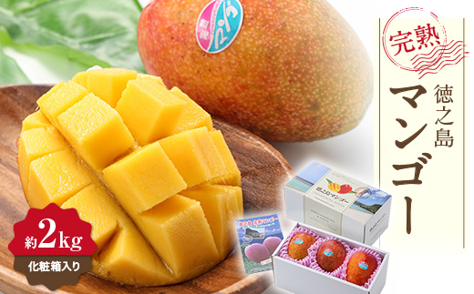 【先行予約!2026年7月より順次発送】 清水果樹園 マンゴー 約2kg(化粧箱入り)【配送不可地域：離島】