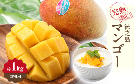 【先行予約!2026年7月より順次発送】 清水果樹園 自宅用 マンゴー 約1kg【配送不可地域：離島】