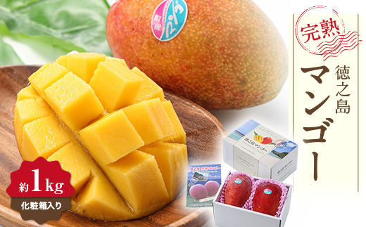 【先行予約!2026年7月より順次発送】 清水果樹園 マンゴー 約1kg(化粧箱入り)【配送不可地域：離島】