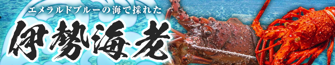 和泊町おすすめの伊勢海老