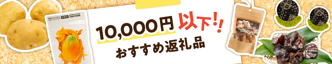 和泊町おすすめの10,000円以下の返礼品