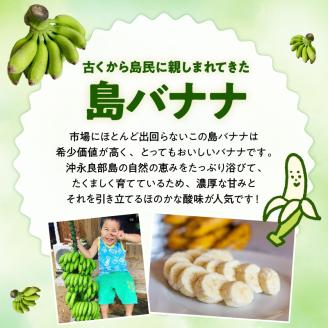 【W029-012u】【先行受付】島バナナ農家が本気で作る完全自然栽培の島バナナドライフルーツ30ｇ×５袋（７月中旬～10月中旬頃発送）