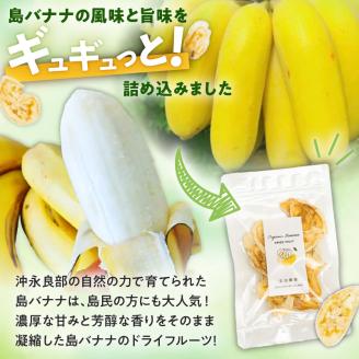 【W029-010u】【先行受付】島バナナ農家が本気で作る完全自然栽培の島バナナドライフルーツ30ｇ×2袋（７月中旬～10月中旬頃発送）